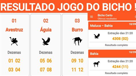 resultado do jogo do bicho bahia 10 horas